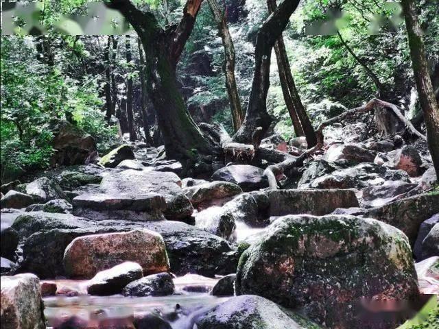 朔州市朔城区行政审批服务管理局2023年度目标责任考核测评大会